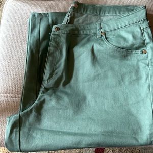 Woman Within, Woman’s Size 20, Capri length,  Volir- Light Green